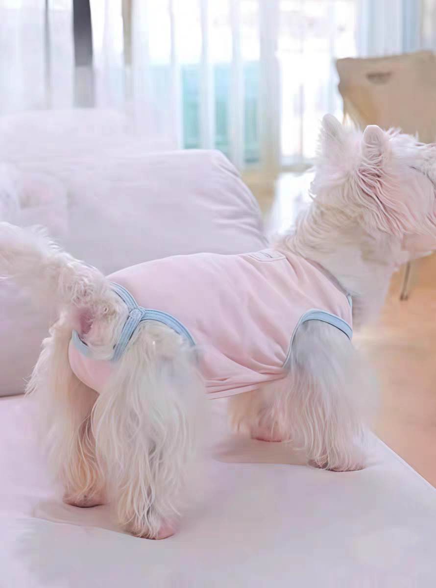 Dog sanitary pants