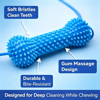 Dog teeth cleaning chew toy