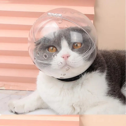 Cat Head protective cover