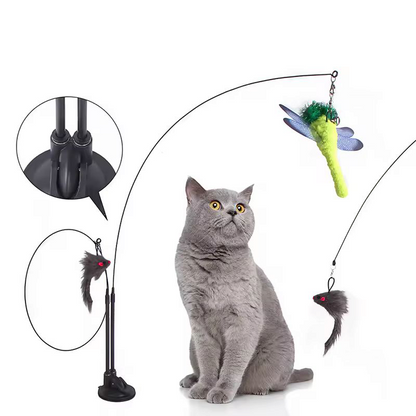 Cat wand toys