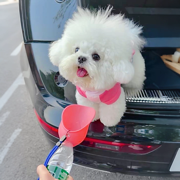 Foldable water dispenser for outdoor pets
