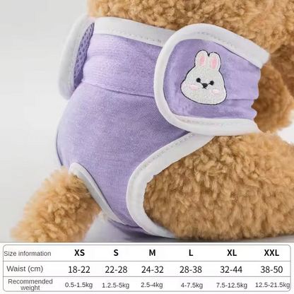 Dog menstrual underwear + pads
