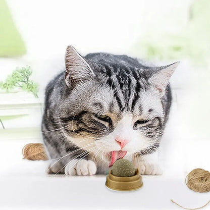 Catnip licking food