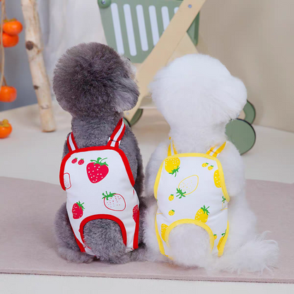 Female Dog physiological pants