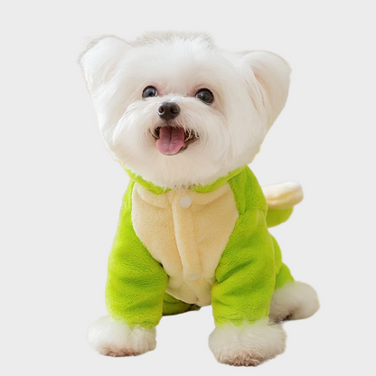 Cat dinosaur hoodie