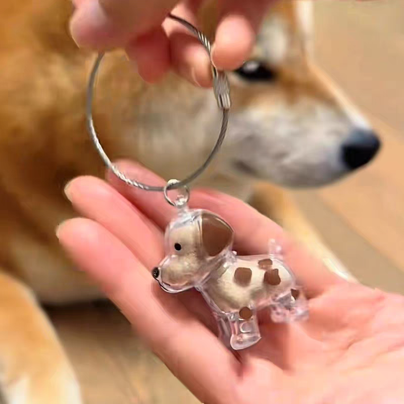 Dog Hair Storage Pendant Keychain