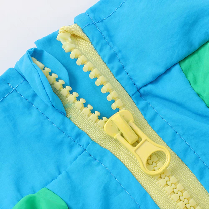 Dog summer clothes
