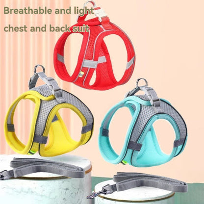 Pet Outgoing Harness