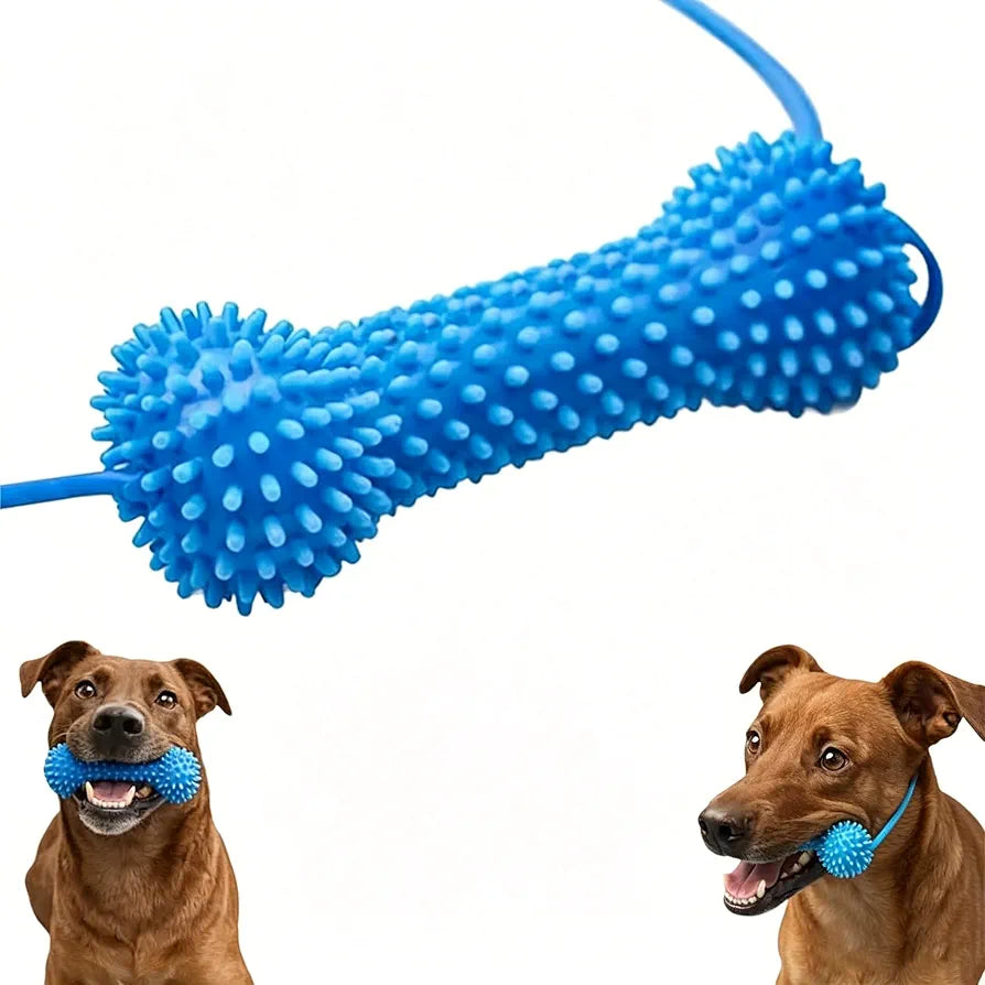 Dog teeth cleaning chew toy