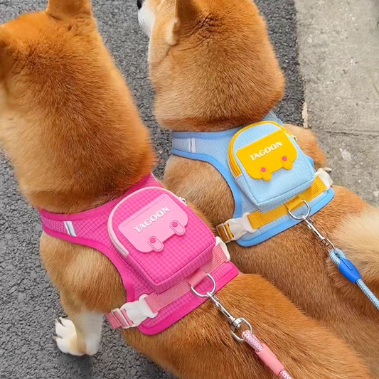 Small Backpack style leash with 1.5M Leash