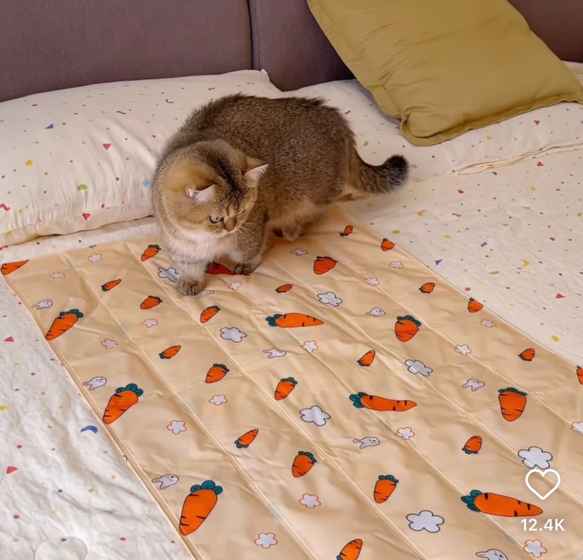 Pet ice mat