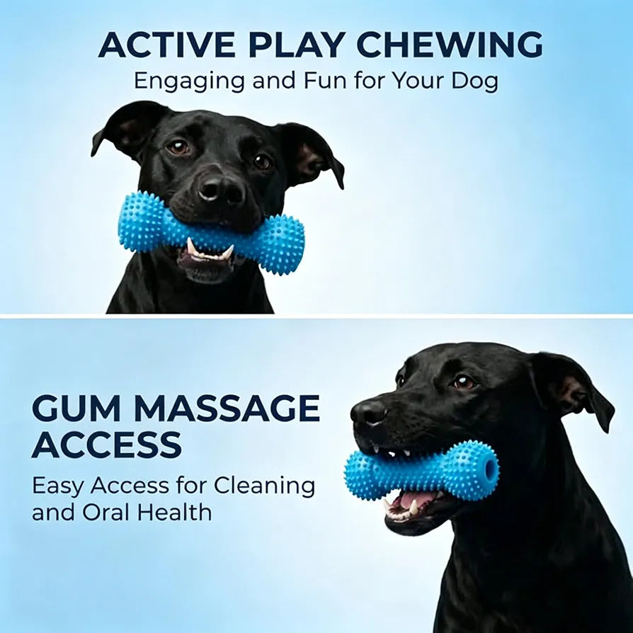 Dog teeth cleaning chew toy