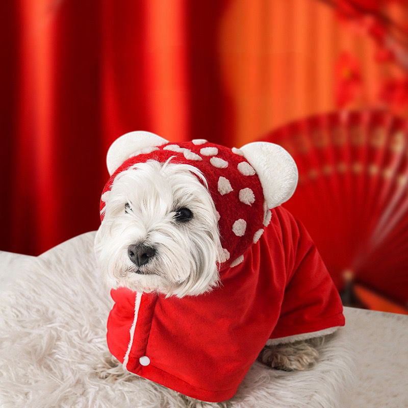 Dog cape blanket
