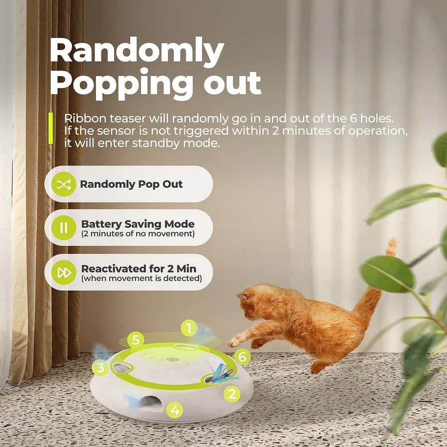 Interactive cat toy