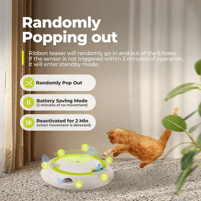 Interactive cat toy