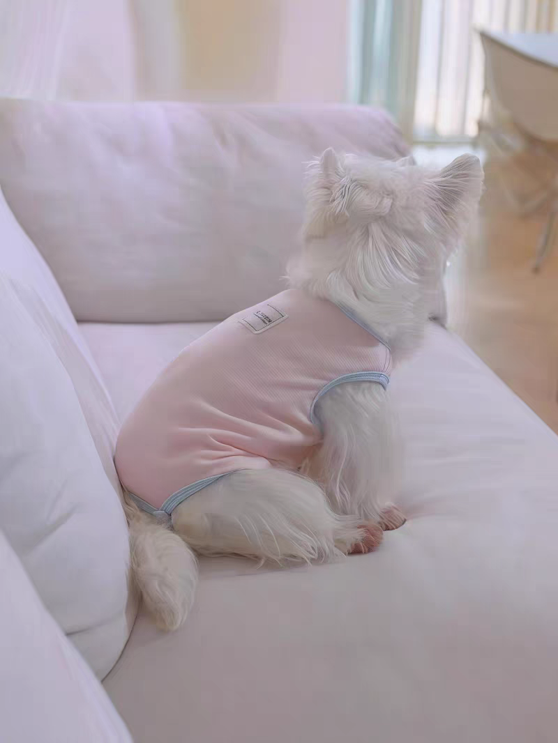 Dog sanitary pants