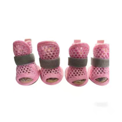 Summer Dog shoes
