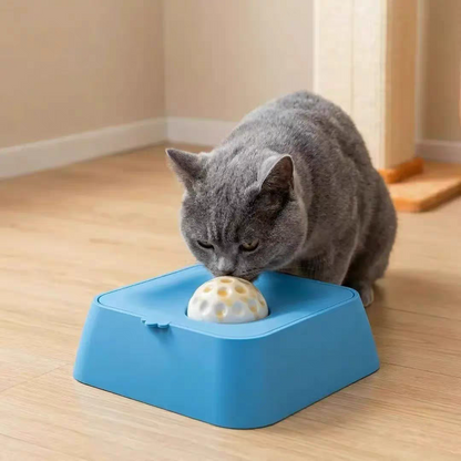 Slow-feeding bowl for dogs and cats